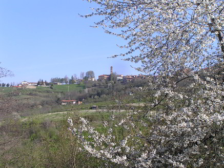 primavera-5